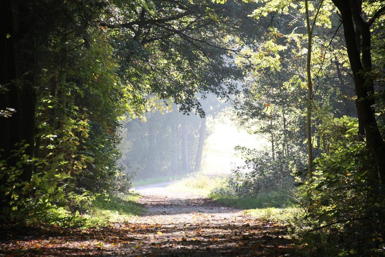 Ferienwohnungen Christine Bad Staffelstein Exteriér fotografie